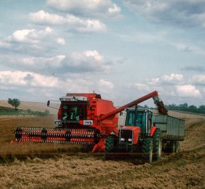 Combine harvester harvesting rapeseed crop