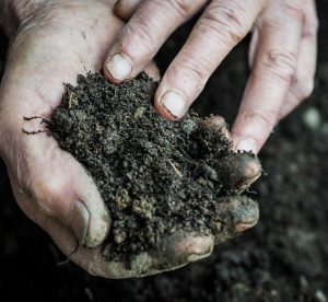 LEAF Soil