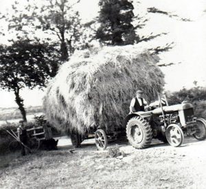 timeline 1940 great grandfather