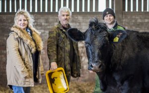 Cow Shed blog