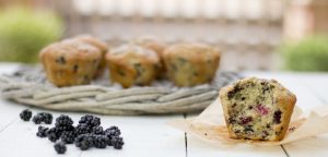 blackberry muffins desktop banner