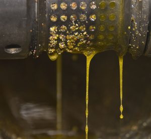 what is the healthiest oil to cook with FEATURED