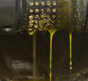 do with oil after deep frying thumbnail