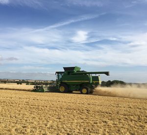 #farm24 featured
