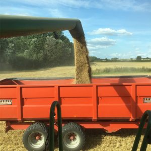 #farm24 seed
