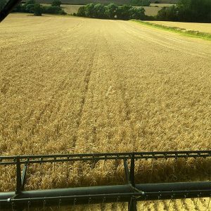 #farm24 combine view