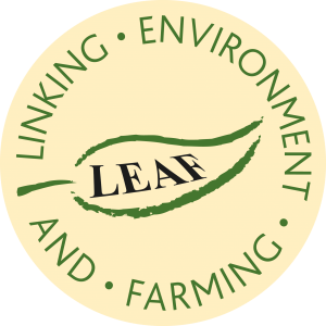 leaf logo