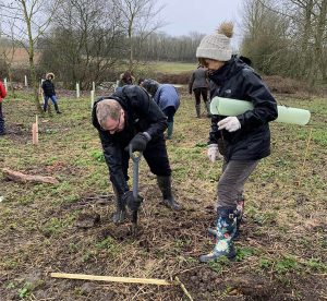 tree planting featured