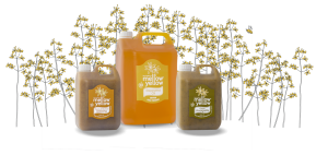 Mellow yellow rapeseed oil and dressings range foodservice wholesale