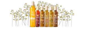 mellow yellow rapeseed oil and salad dressings
