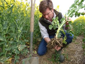Farrington's Mellow Yellow LEAF Demonstration farm and