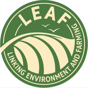 Farrington's Mellow Yellow LEAF Demonstration farm and