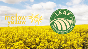 Farrington's Mellow Yellow LEAF Demonstration farm and