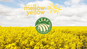 Farrington's Mellow Yellow LEAF Demonstration farm and