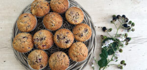 Blueberry muffin