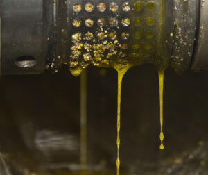 pressing seeds to oil