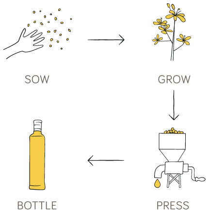 Sow, Grow, Press, Bottle