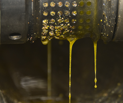 what is rapeseed oil press