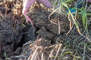 sustainable farming soil test